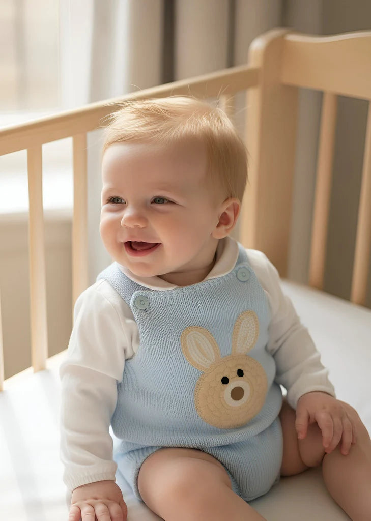 Blue Bunny Romper Outfit