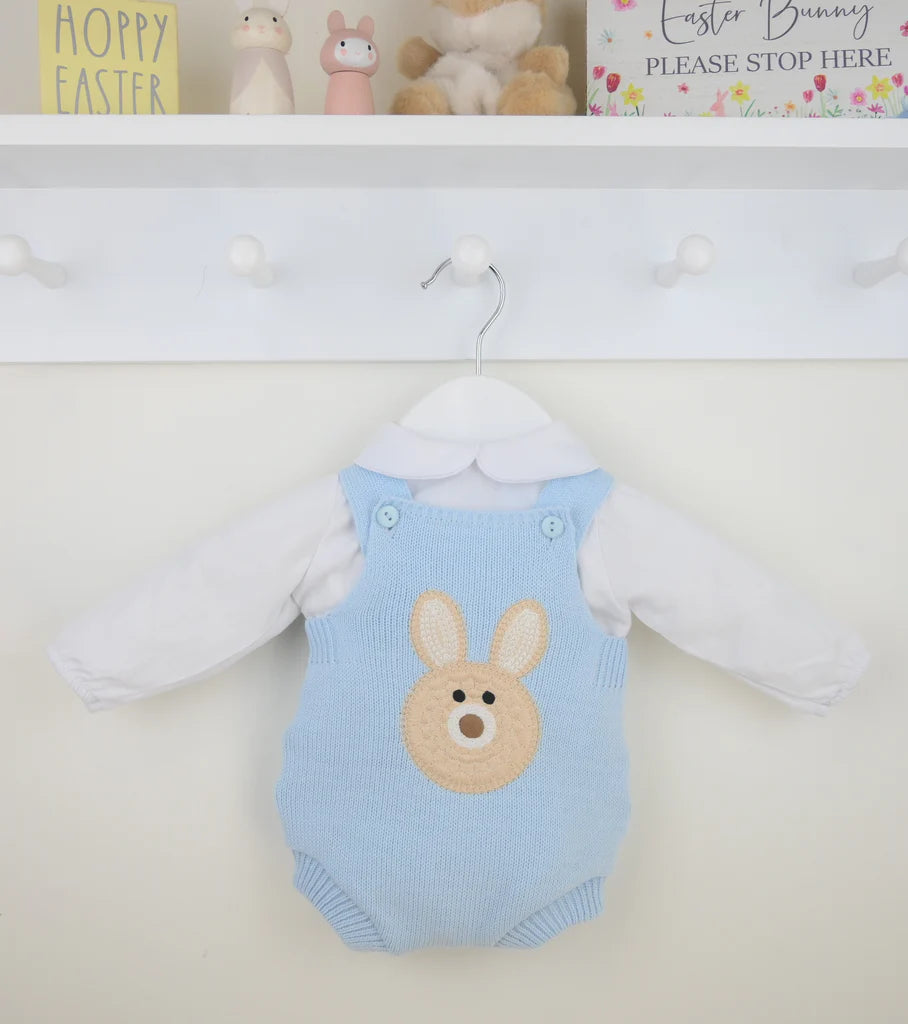 Blue Bunny Romper Outfit