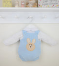 Blue Bunny Romper Outfit